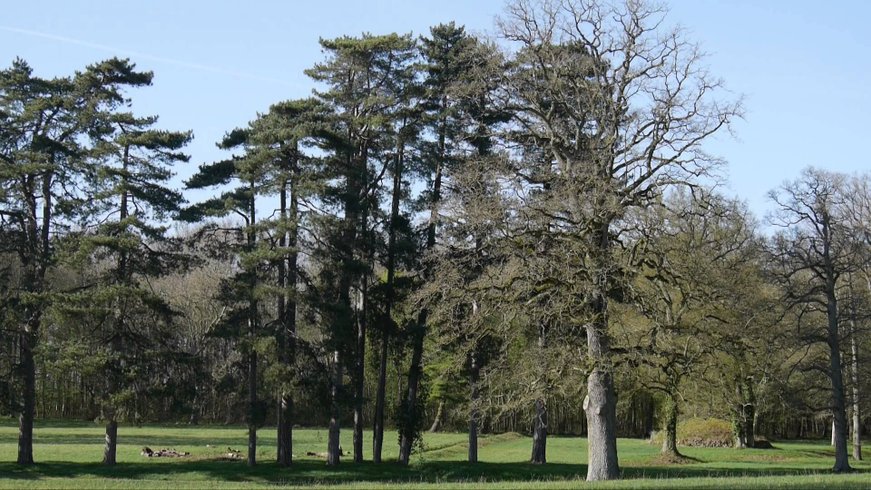Domaine AbracadaRoom : Château de Courtalain - Image 4