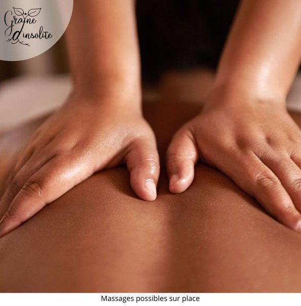 Hébergement AbracadaRoom : La Tiny Graine d'insolite - Image 22