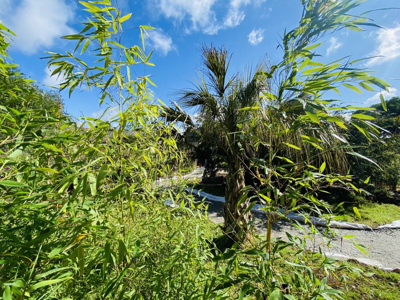 Domaine AbracadaRoom : Jardin Zen du Quistillic - Image 61