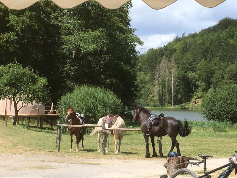 Domaine AbracadaRoom : Foxy Camp - Image 9