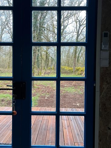 Hébergement AbracadaRoom : Le Refuge Des Bois de Morphée - Image 8