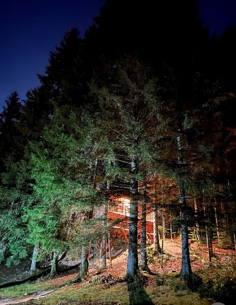 Hébergement AbracadaRoom : Cabane La Champvent & Spa & Sauna - Image 4