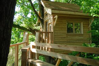 Cabane dans les arbres Ardennes