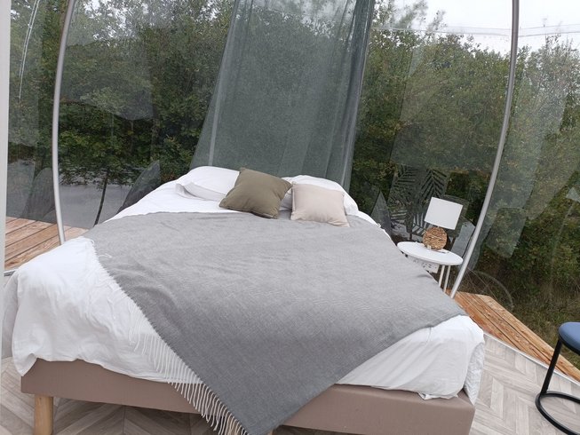 Hébergement AbracadaRoom : Entre rêves et chêne - Image 3