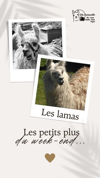 Domaine AbracadaRoom : Gîte Familial Scaravella - Image 24