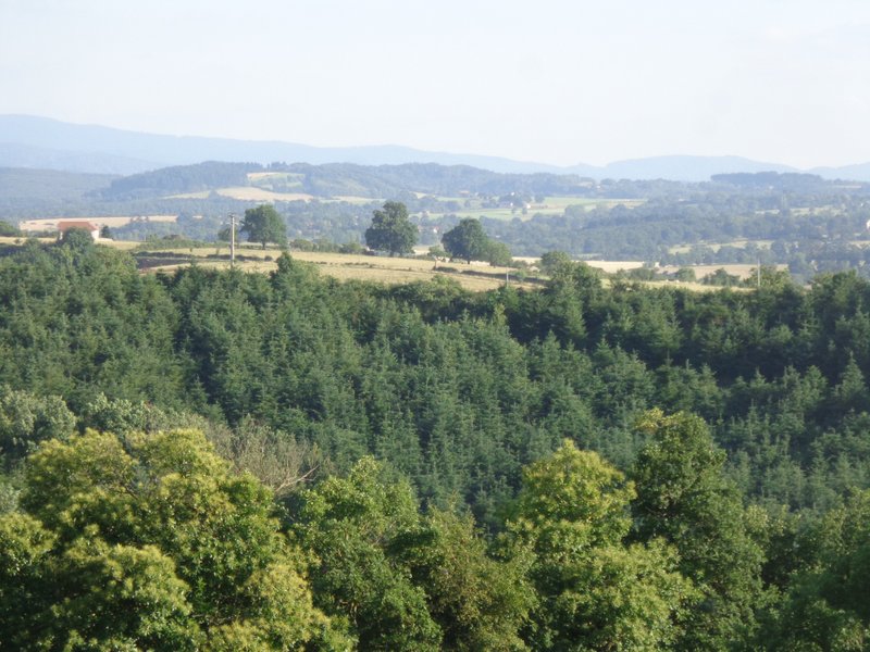 Domaine AbracadaRoom : Le Jardin de Kym - Image 7