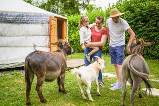 Yourte Pas-de-Calais