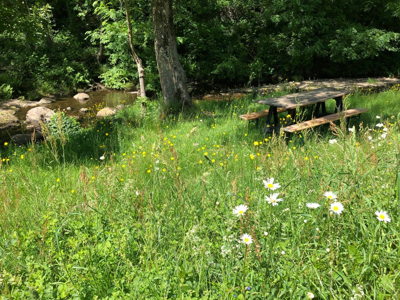 Hébergement AbracadaRoom : Le luxe champêtre d'un Géodôme en châtaignier - Image 5