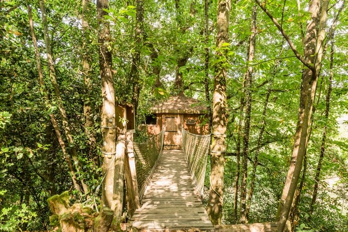 Hébergement AbracadaRoom : Cabane Pivert - Image 2