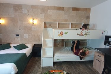 Chambre Safari à Arbigny (2)