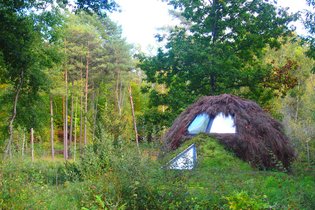 Cabane végétalisée Loir-et-Cher