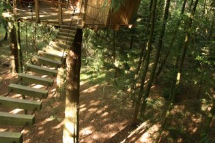 Cabane dans les arbres Ille-et-Vilaine