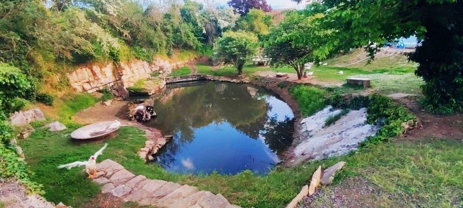 Domaine AbracadaRoom : Cabanes au Fil des Saisons - Image 4