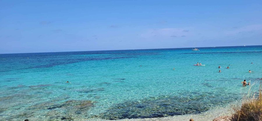 Domaine AbracadaRoom : Haras de Tesa - Image 11