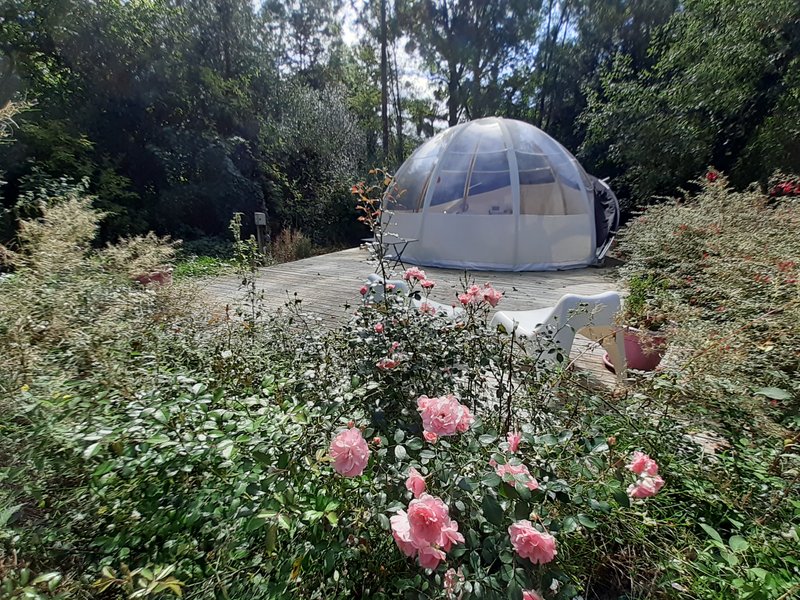 Wigwam clos cacheleux