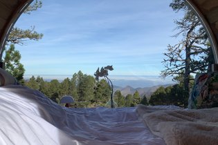 Tonneau Pyrénées-Atlantiques