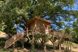 La Cabane dans le chêne tricentenaire