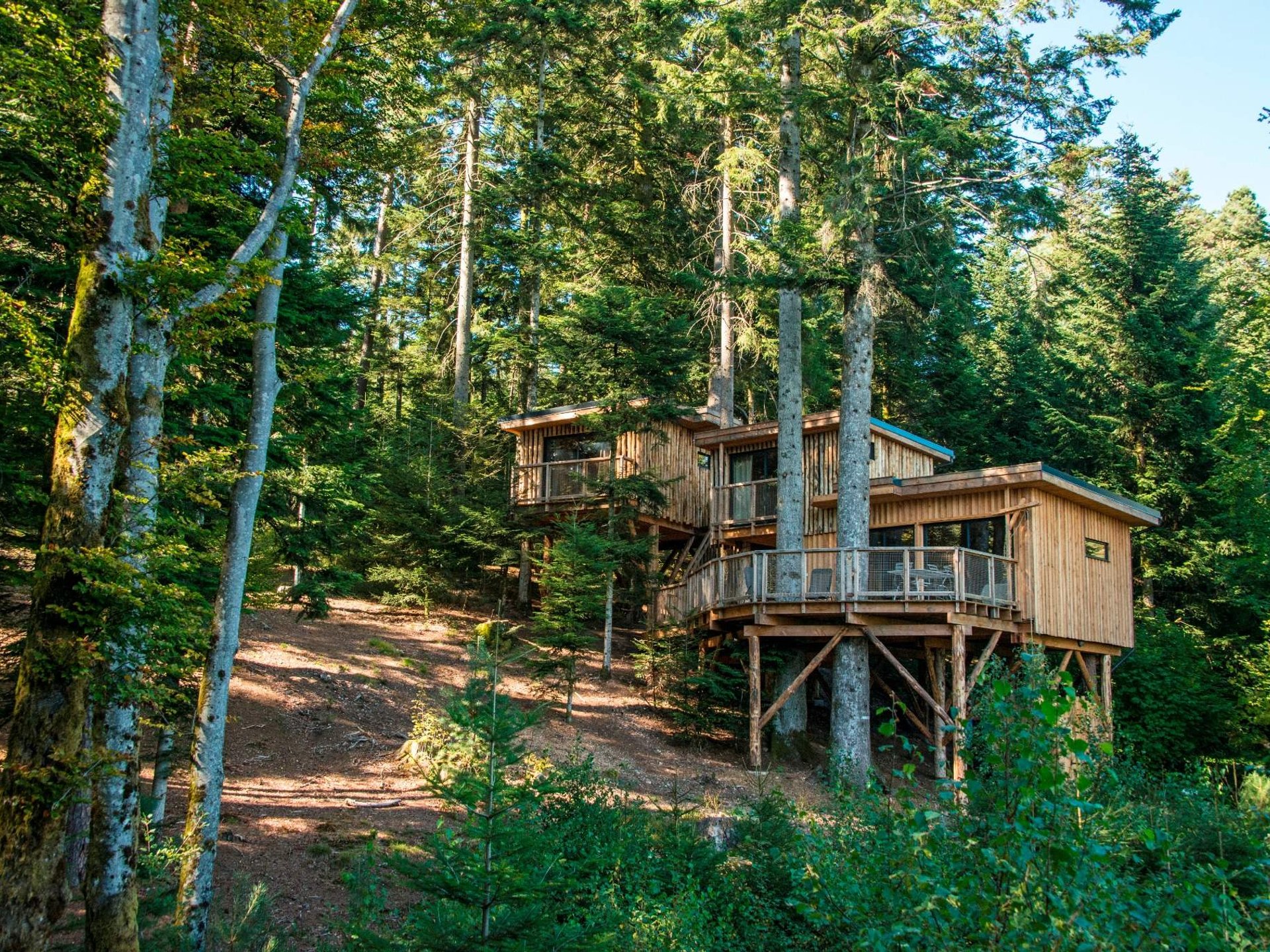Cabane perchée Deluxe Duo avec Spa
