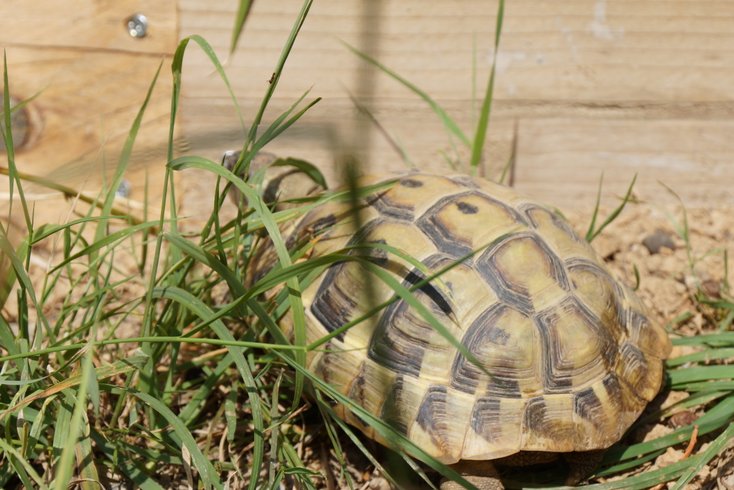 Domaine AbracadaRoom : Domaine du Vigneau - Image 7