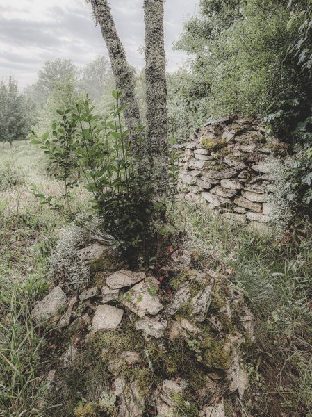 Domaine AbracadaRoom : Domaine Amaia - Image 65