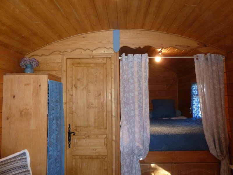 lit_isatis_ty_pastel