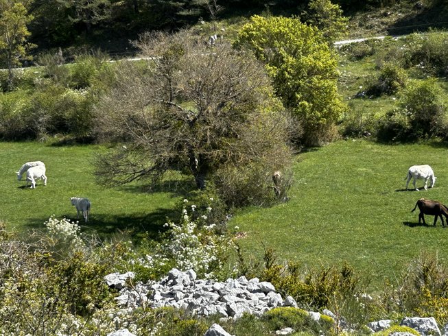 Hébergement AbracadaRoom : Le Dôme étoilé & Spa - Image 11