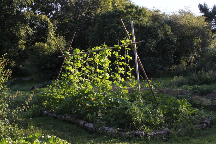 Domaine AbracadaRoom : La Ferme du Séquoia - Image 8