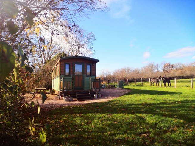 Domaine AbracadaRoom : Roulotte romantique en pleine nature – Parenthèse insolite en Bourgogne | Autun · Morvan - Image 17