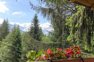 Cabane dans les arbres Haute-Savoie