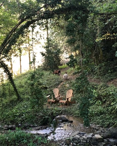 Domaine AbracadaRoom : Terra Bosca - Image 7