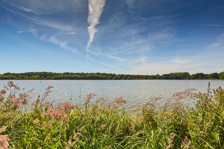 Domaine AbracadaRoom : Camping du Lac de la Chausseliere**** - Image 5