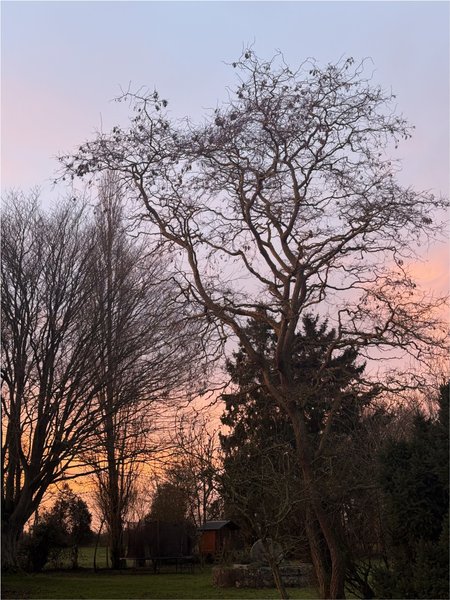 Domaine AbracadaRoom : Mesnil & Une Nuit - Image 18