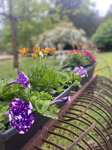 Domaine AbracadaRoom : Mas Bernadis - Image 9