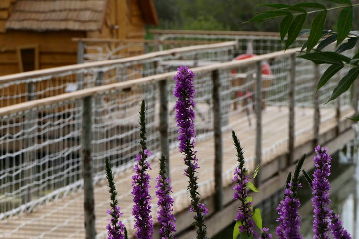 Hébergement AbracadaRoom : La cabane Magique - Image 14