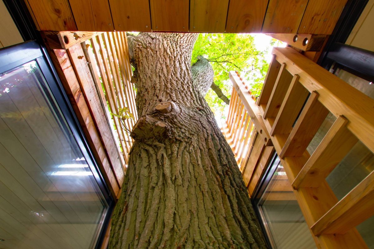  Cabane_Extraordinaire_Spa_Origin_Intérieur