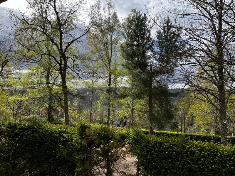 Hébergement AbracadaRoom : HY•Lødge Spa-4pers N°6 (Chalet nature avec spa privatif) - Image 4