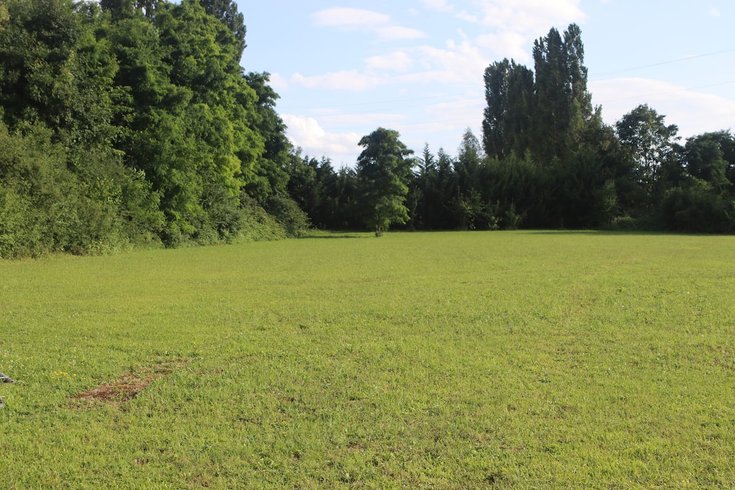 Domaine AbracadaRoom : Le Laurier Blanc - Image 4