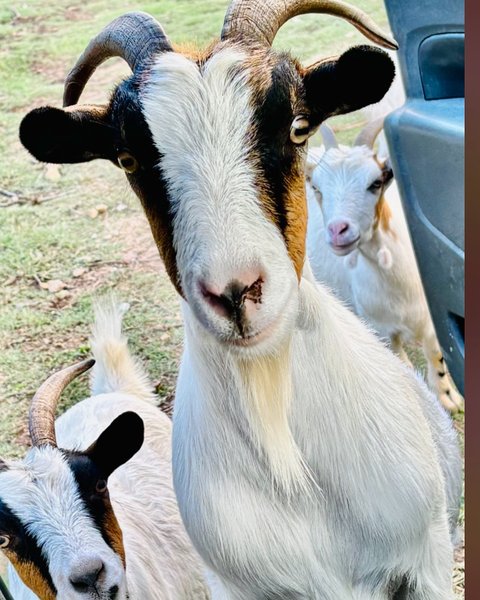 Domaine AbracadaRoom : A NASSA - Image 5