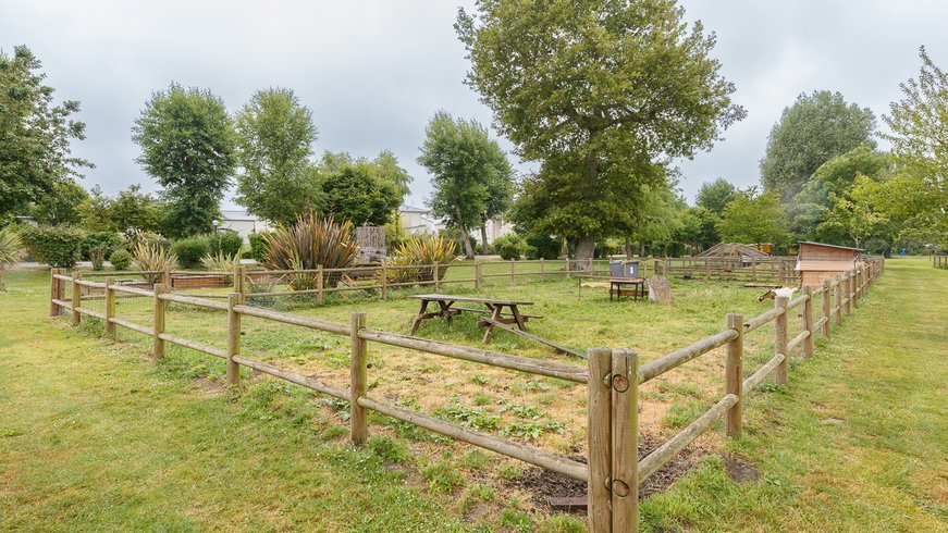 Domaine AbracadaRoom : Camping Seasonova Haliotis - Image 16