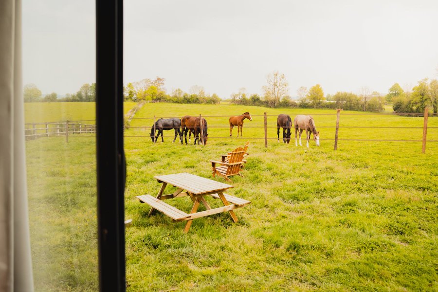 Domaine AbracadaRoom : Parcel Tiny House - à 15 min de Deauville - Image 8