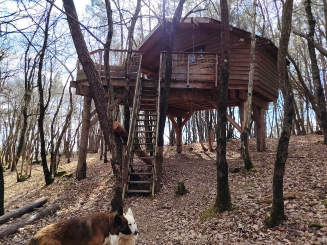 Hébergement AbracadaRoom : Cabane Murmure de Feuilles – Une parenthèse suspendue au cœur de la nature - Image 13