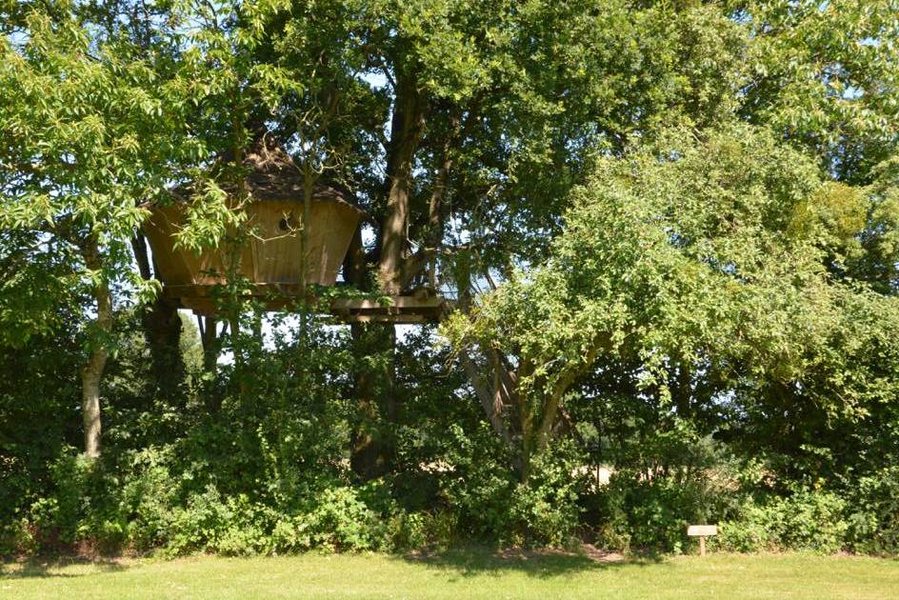 Hébergement AbracadaRoom : Cabane Des Cartes - Image 4