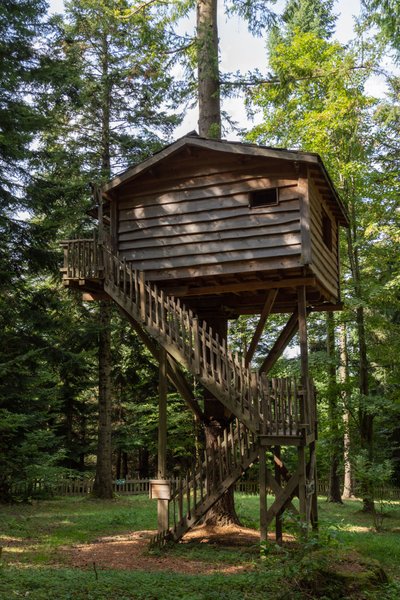 Hébergement AbracadaRoom : Cabane Hérisson - Image 12