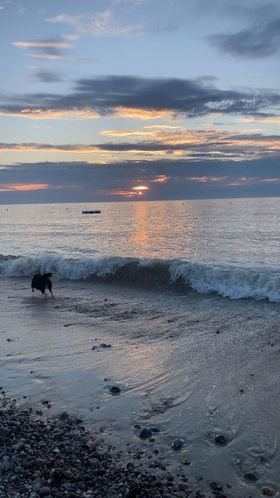 Domaine AbracadaRoom : Seasonova - Domaine Saâne et Mer - Image 21