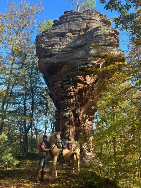 Domaine AbracadaRoom : L'échappée verte - Image 6