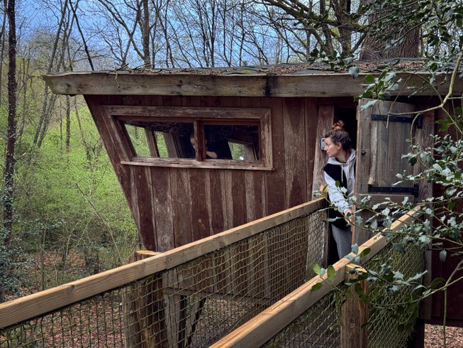 Hébergement AbracadaRoom : Cabane Mésange - Image 6