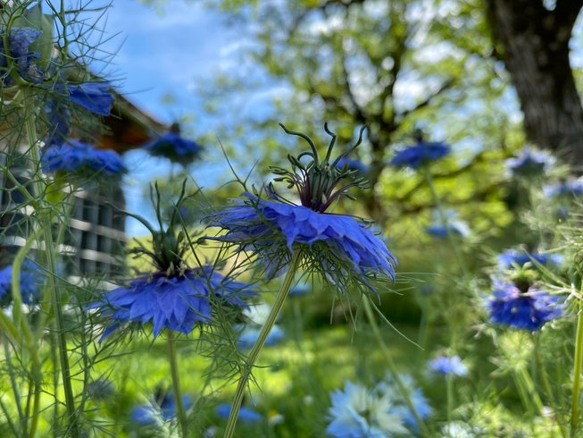 Domaine AbracadaRoom : Camping Vallon de Laborie - Image 7