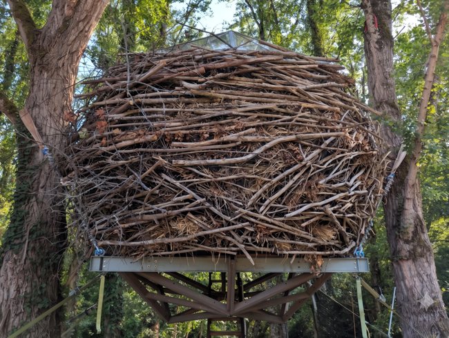 Hébergement AbracadaRoom : Bird House : Sphère Vitrée suspendue dans les Arbres - Image 2
