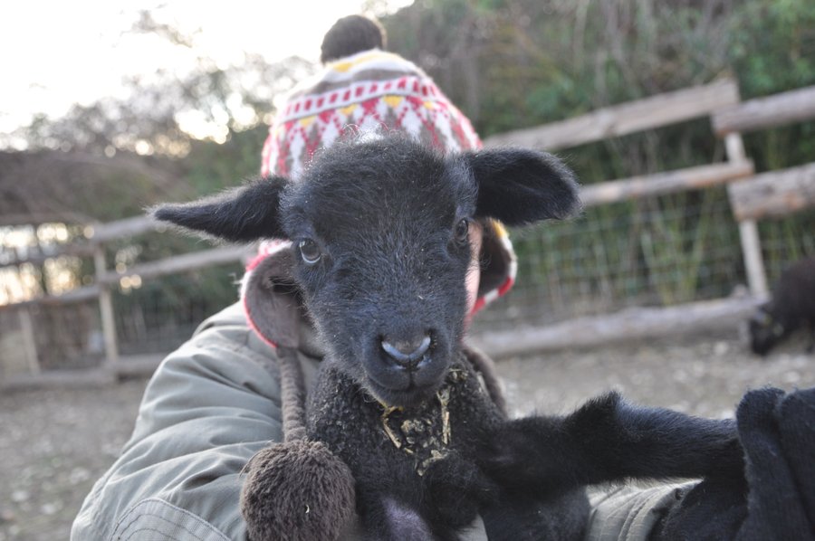 Domaine AbracadaRoom : Nid'Oiselet - Image 22