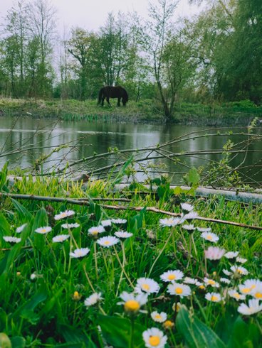 Domaine AbracadaRoom : Les Aires en scènes - Image 8